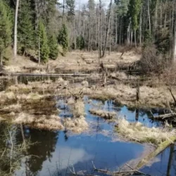 Geodezyjna inewntaryzacja elektrowni wodnej